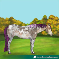 Horse Color:Painted Brown Ice Tobiano  and Bay Ice Tobiano 