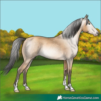Horse Color:Gray Amber Cream Champagne 