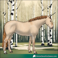 Horse Color:Red Dun