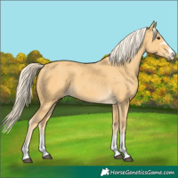 Horse Color:Palomino