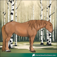 Horse Color:Chestnut 
