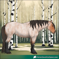 Horse Color:Bay Roan 