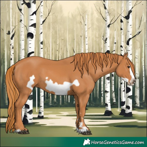 Horse Color:Chestnut Frame 