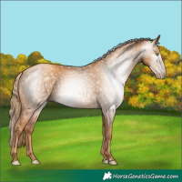 Horse Color:Gray Gold Champagne
