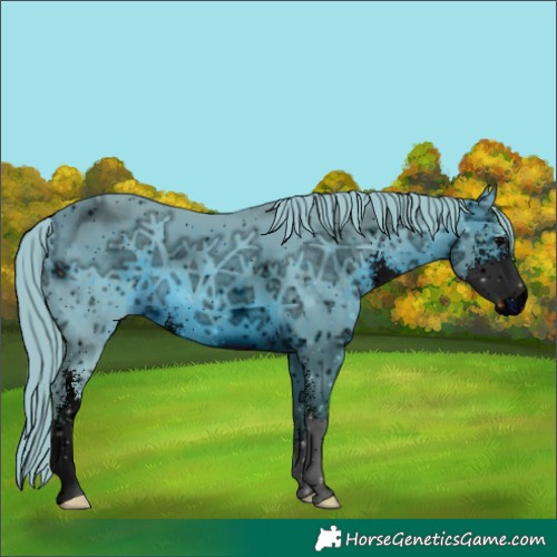 Horse Color:ERROR: UNKNOWN ANOMALY