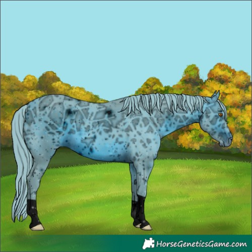 Horse Color:ERROR: UNKNOWN ANOMALY