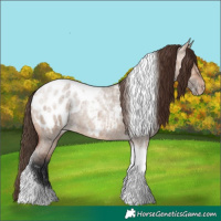 Horse Color:Bay Ice Roan Dun Tobiano Blanket