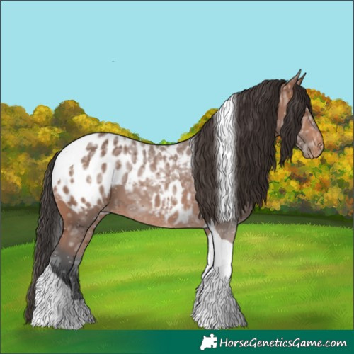 Horse Color:Bay Ice Tobiano Blanket