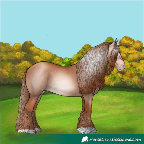 Horse Color:Gray Gold Champagne