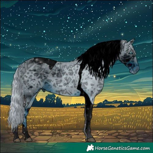 Horse Color:ERROR: UNKNOWN ANOMALY