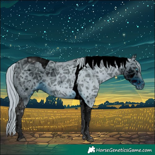 Horse Color:ERROR: UNKNOWN ANOMALY