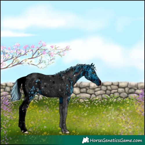 Horse Color:ERROR: UNKNOWN ANOMALY