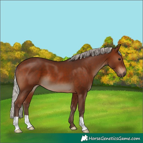 Horse Color:Silver Brown 
