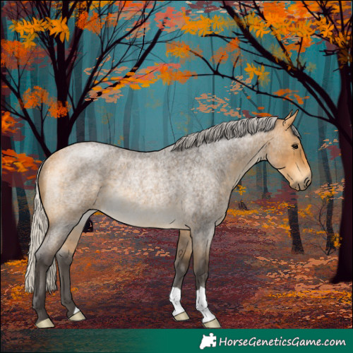 Horse Color:Silver Buckskin Roan Rabicano 