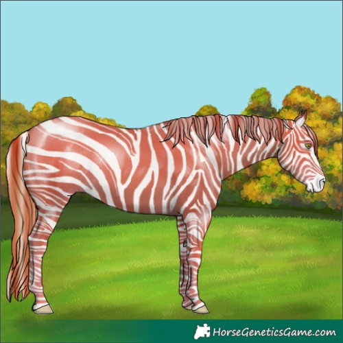 Horse Color:Gold Champagne 