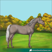 Horse Color:Platinum Chocolate Silver Grullo 