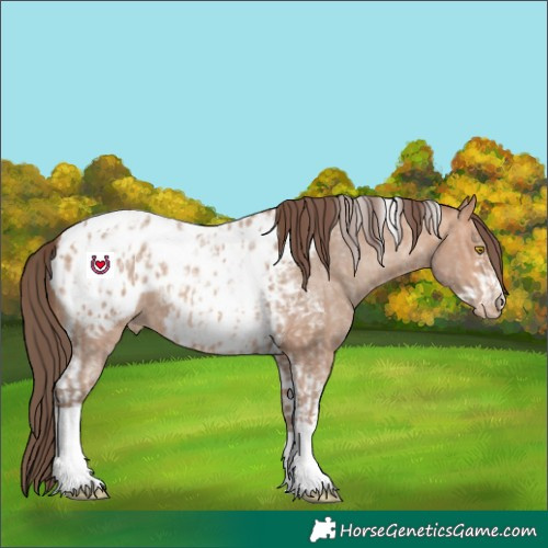 Horse Color:Amber Champagne Sabino Tobiano Appaloosa and Amber Champagne Sabino Tobiano Frame Appaloosa