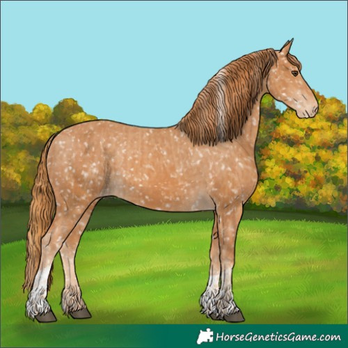 Horse Color:Chestnut Snowflake Varnish and Chestnut Snowflake Varnish