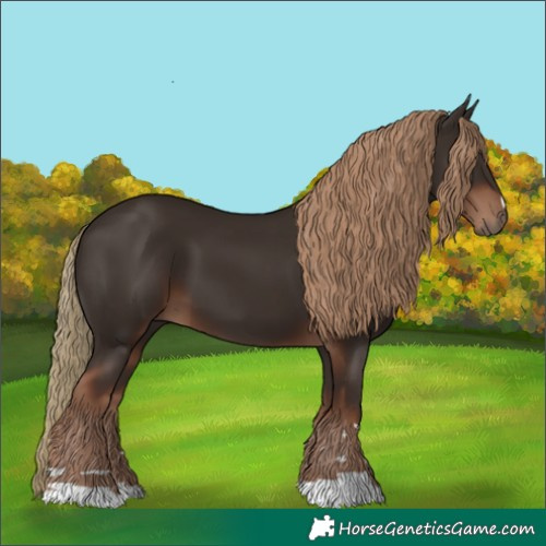 Horse Color:Liver Chestnut 