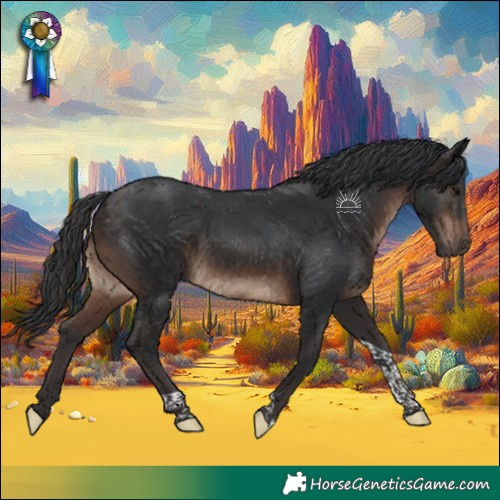 Horse Color:Brown Tobiano 
