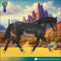 Horse Color:Brown Tobiano