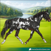 Horse Color:White Spotted Liver Chestnut 