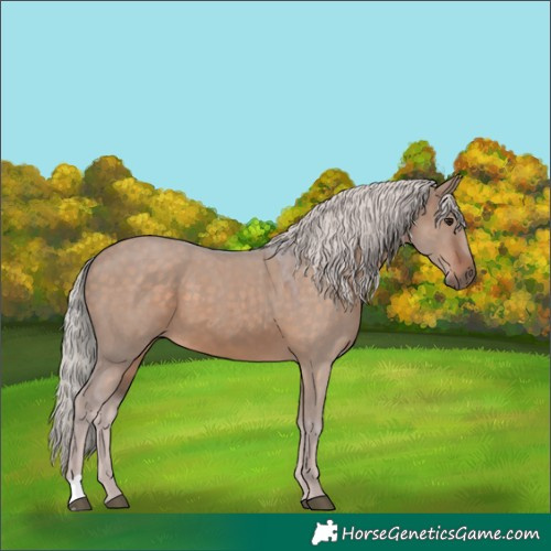 Horse Color:Silver Brown Dun 
