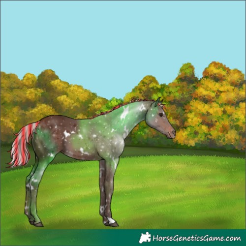 Horse Color:Painted White Spotted Silver Brown