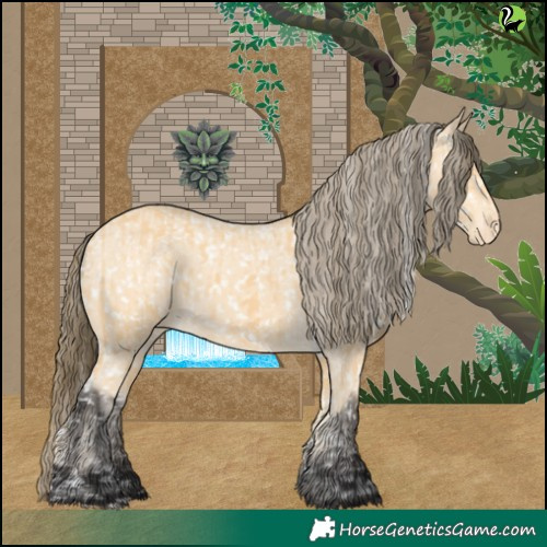 Horse Color:Buckskin Appaloosa and Buckskin Appaloosa