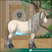 Horse Color:Buckskin Snowflake Varnish and Buckskin Snowflake Varnish