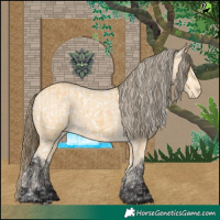 Horse Color:Buckskin Appaloosa and Buckskin Appaloosa
