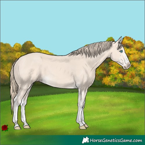 Horse Color:Perlino Splash  and Perlino Splash 