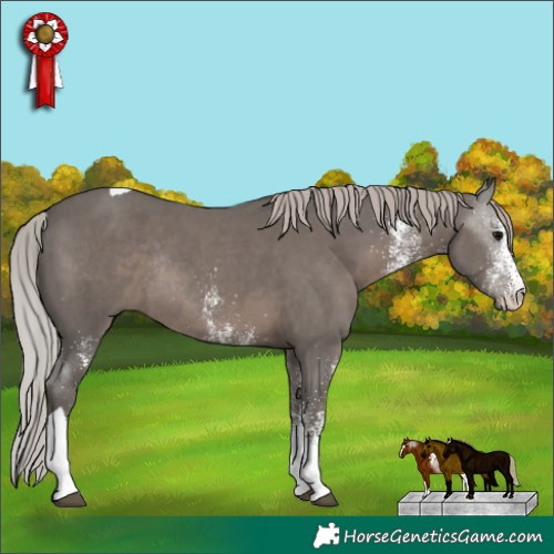 Horse Color:White Spotted Silver Black Tobiano Rabicano 