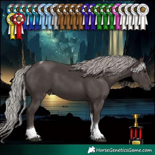 Horse Color:Silver Black Tobiano 