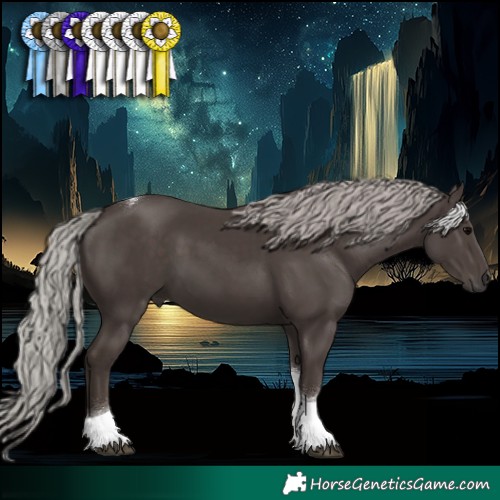 Horse Color:Silver Black Tobiano