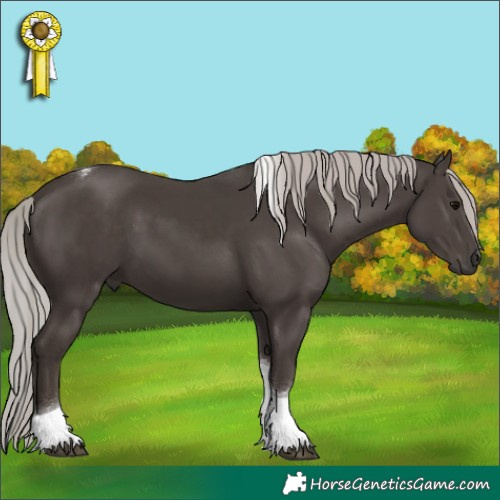 Horse Color:Silver Black Tobiano 