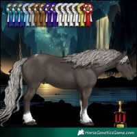 Horse Color:Silver Black Tobiano 