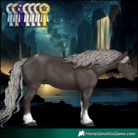 Horse Color:Silver Black Tobiano 