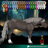 Horse Color:Silver Black Tobiano 