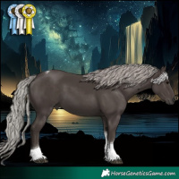 Horse Color:Silver Black Tobiano 