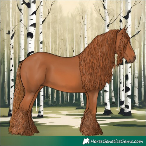 Horse Color:Chestnut 