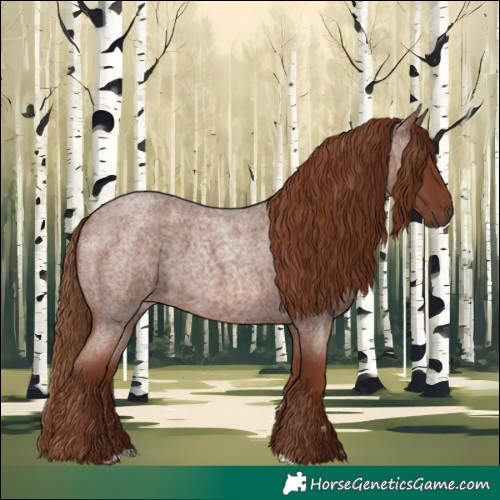 Horse Color:Red Roan 
