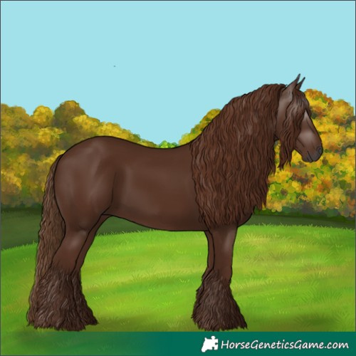 Horse Color:Gray Chestnut 