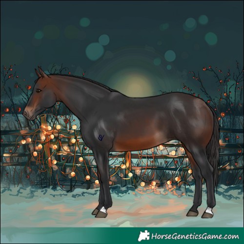 Horse Color:Brown 