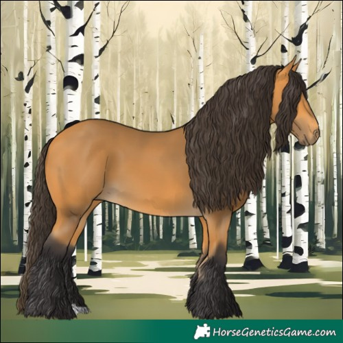 Horse Color:Buckskin 