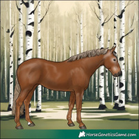 Horse Color:Gray Chestnut 