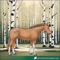 Horse Color:Chestnut Tobiano 