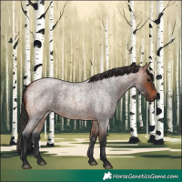 Horse Color:Bay Roan