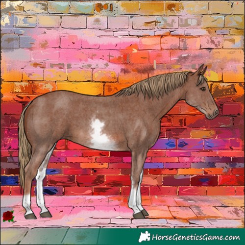 Horse Color:White Spotted Chestnut Sabino 