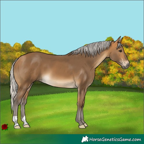 Horse Color:Silver Buckskin 